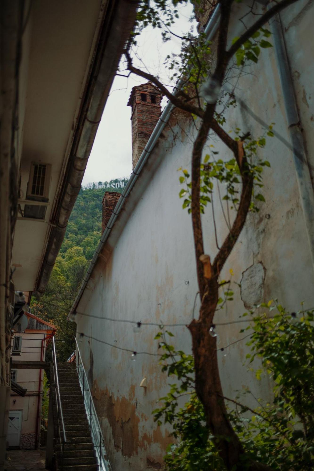 3 Min To Everything-Stylish-Modern-Old Fortress Braşov Exteriör bild